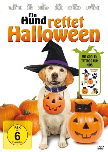 Ein hund rettet - hund,